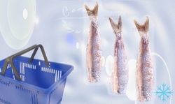 Arenques en Salmuera